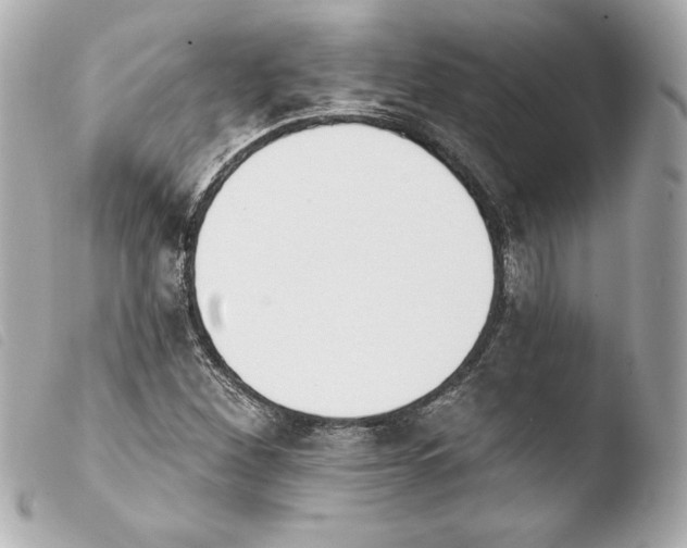 X0000103931260200810031250