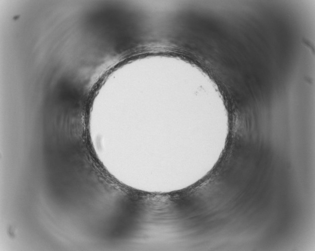 X0000103931261200810031250