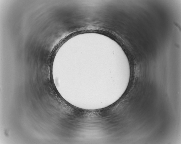 X0000103931262200810031250