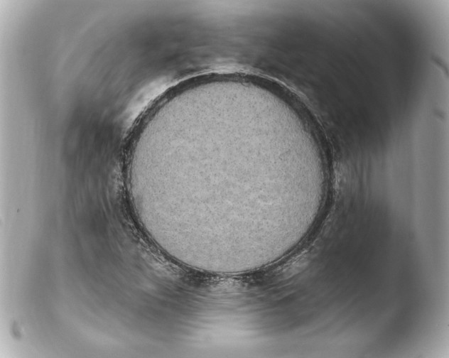 X0000103931263200810031250