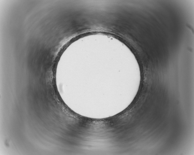 X0000103931264200810031250