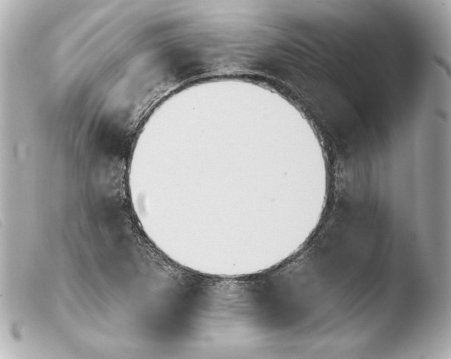 X0000103931265200810031250