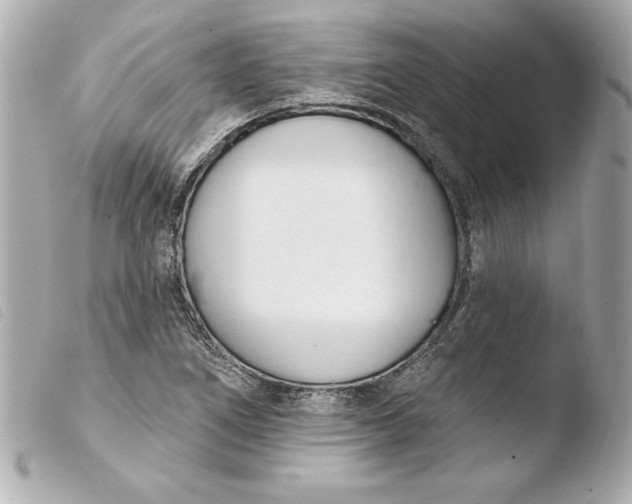 X0000103931266200810031250