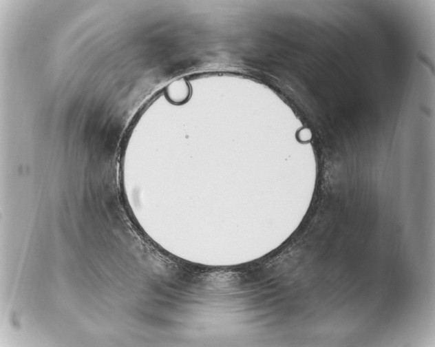 X0000103931268200810031250