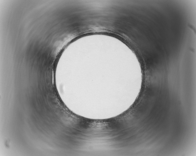 X0000103931269200810031250