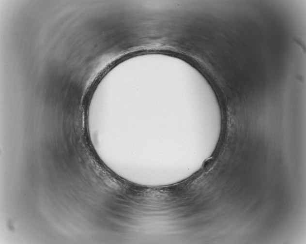 X0000103931270200810031250