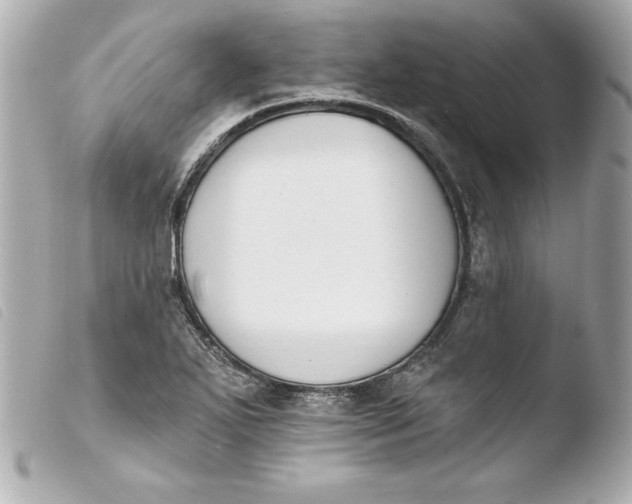 X0000103931271200810031250