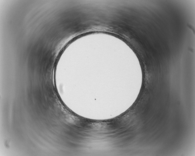 X0000103931272200810031250