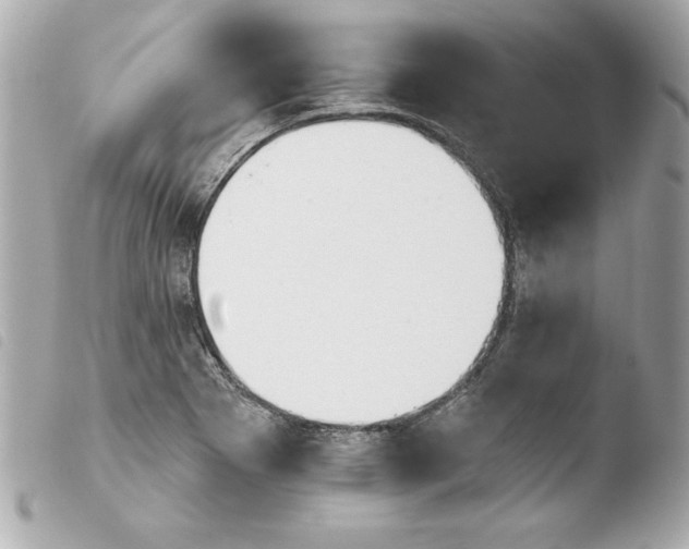 X0000103931273200810031250