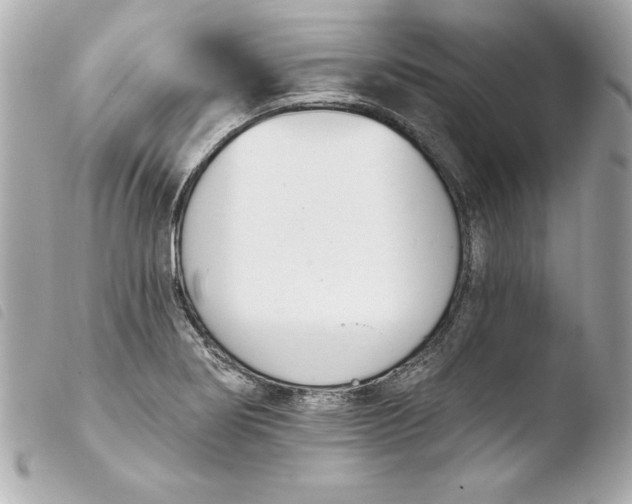 X0000103931274200810031250