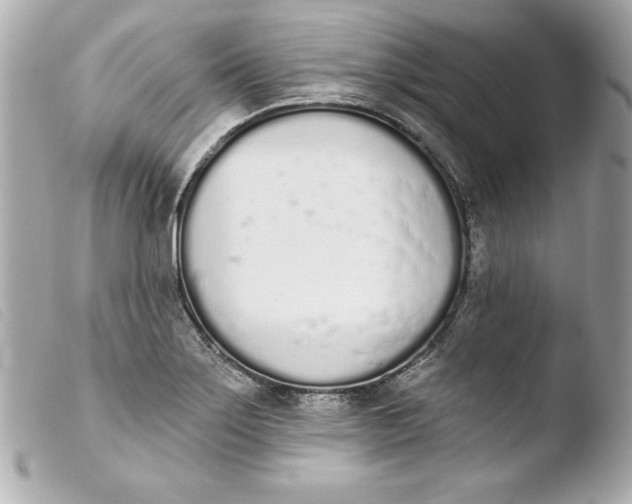 X0000103931275200810031250