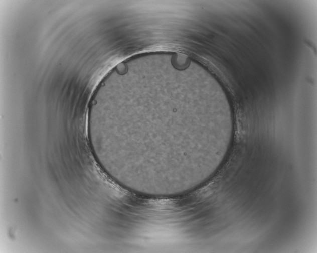 X0000103931276200810031250
