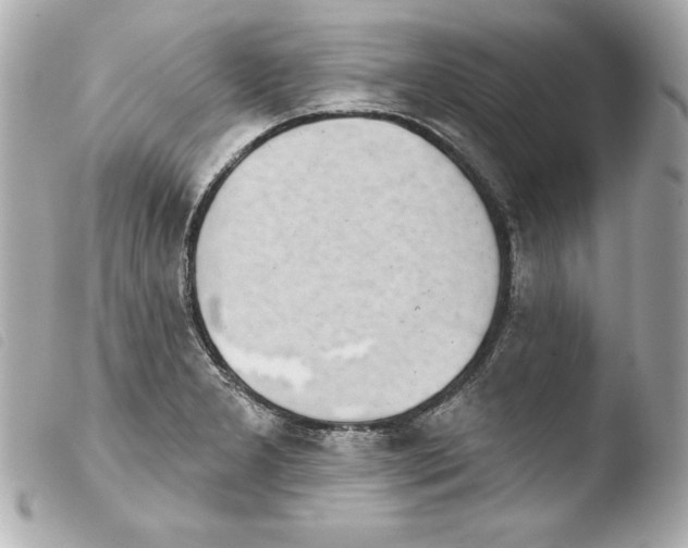 X0000103931277200810031250