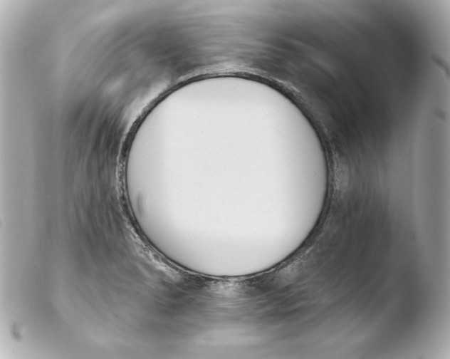 X0000103931278200810031250