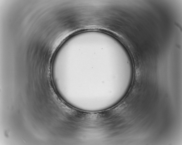 X0000103931279200810031250