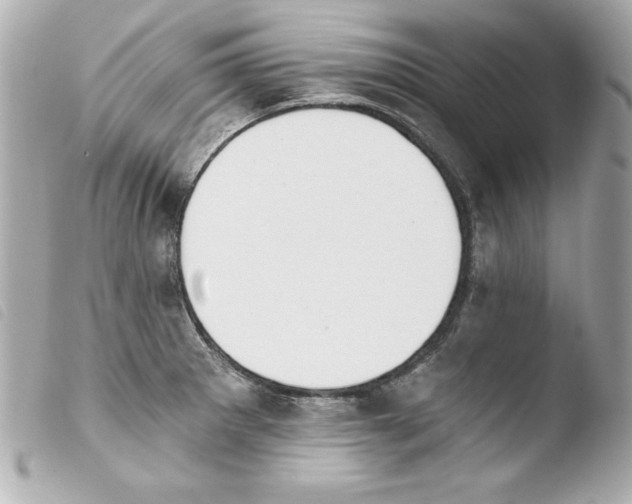 X0000103931281200810031250