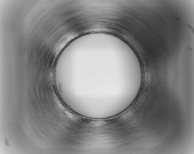 X0000103931282200810031250