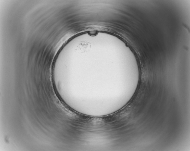 X0000103931283200810031250