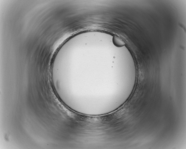 X0000103931286200810031250