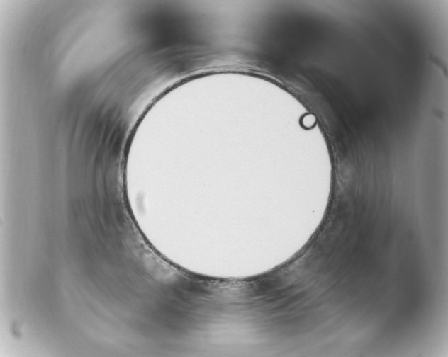 X0000103931288200810031250