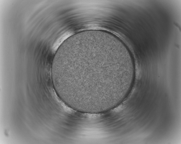 X0000103931289200810031250