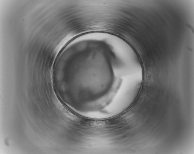 X0000103931291200810031250