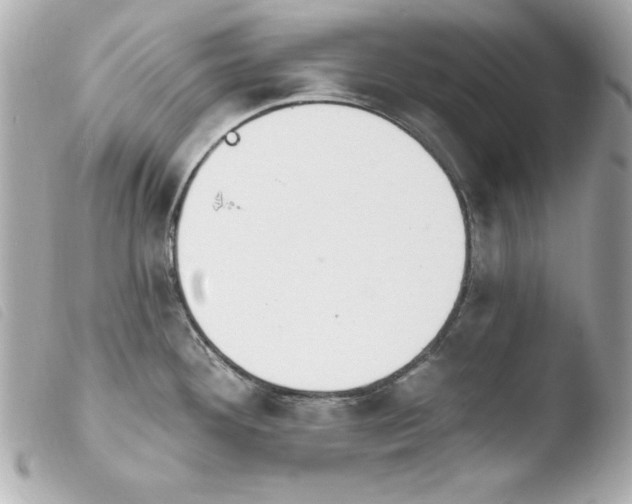 X0000103931292200810031250