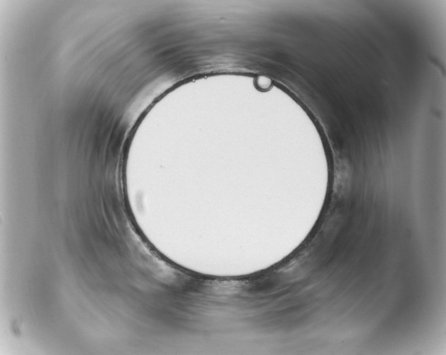 X0000103931293200810031250