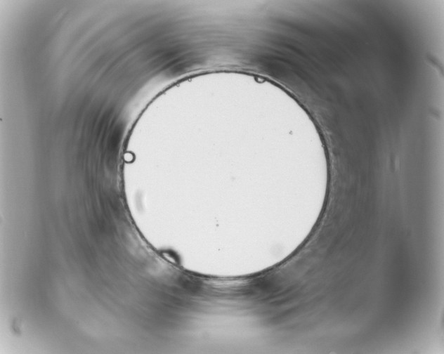 X0000103931296200810031250