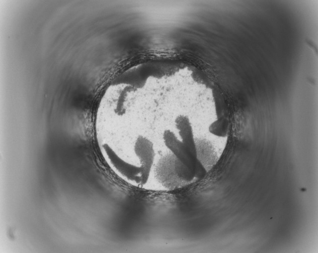 X0000103931298200810031249