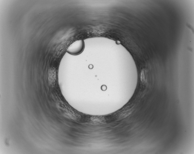 X0000103931299200810031249