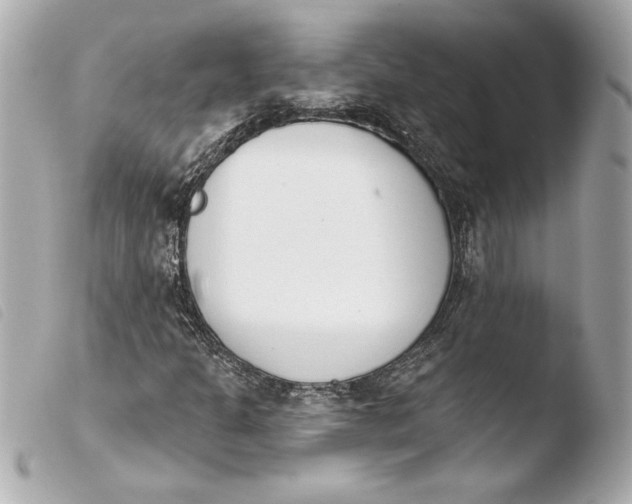 X0000103931301200810031249