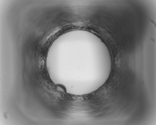 X0000103931302200810031249