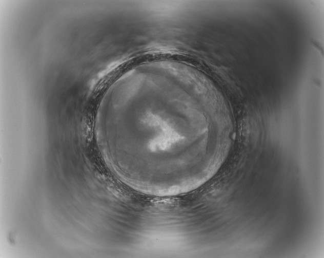 X0000103931303200810031249