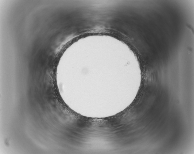 X0000103931304200810031249