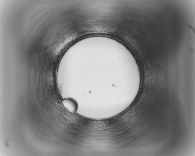 X0000103931307200810031249