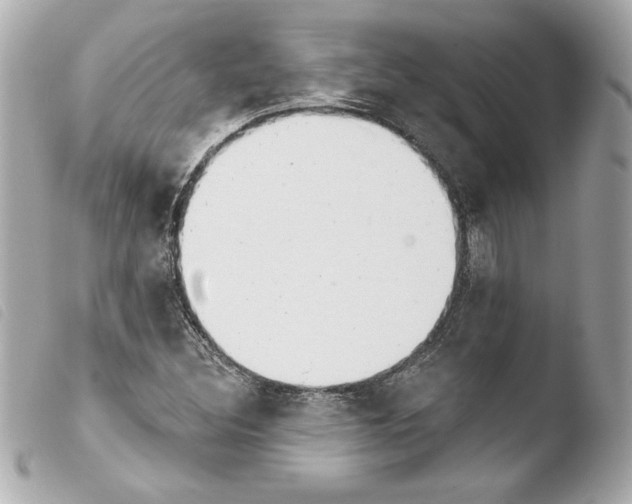 X0000103931308200810031249