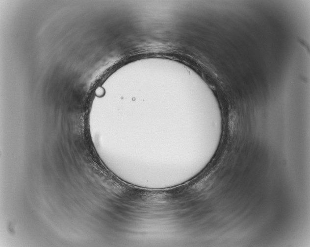 X0000103931309200810031249