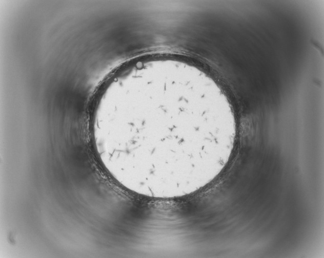 X0000103931310200810031249