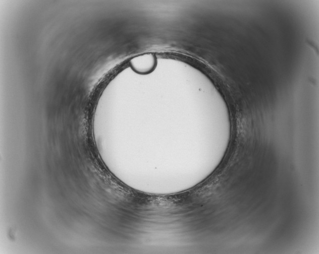 X0000103931311200810031249