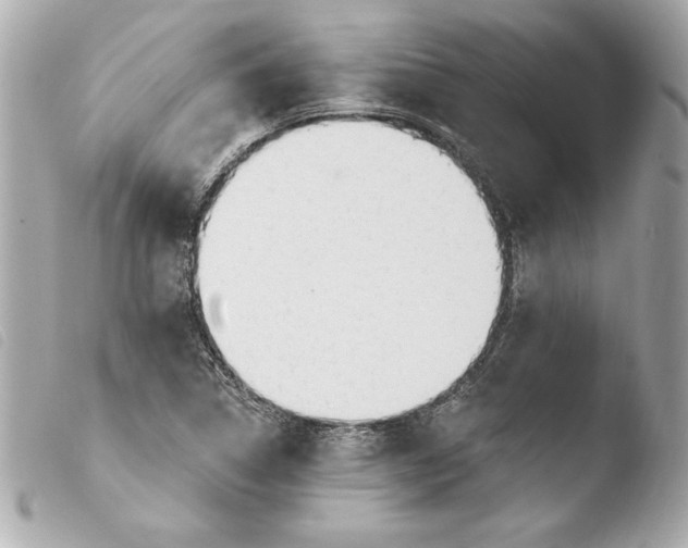 X0000103931314200810031249