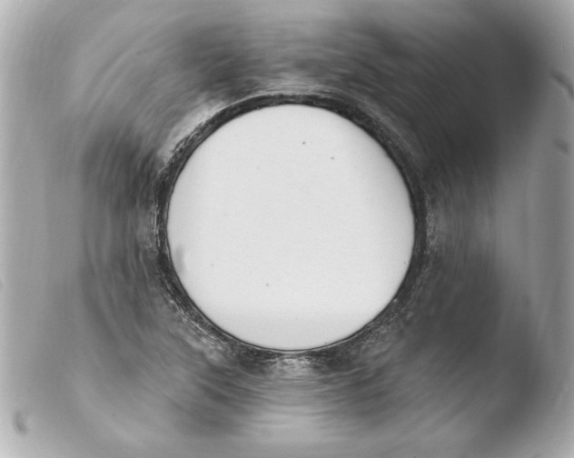 X0000103931315200810031249