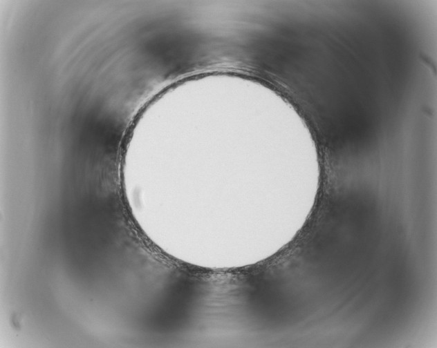 X0000103931316200810031249