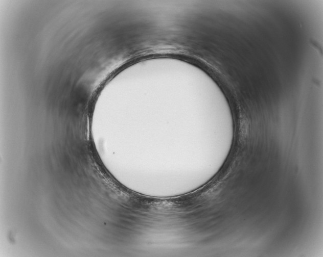 X0000103931317200810031249