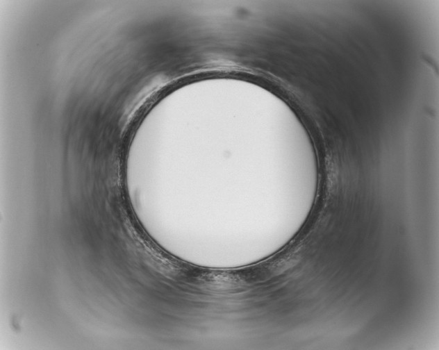 X0000103931318200810031250
