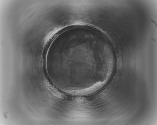 X0000103931319200810031250