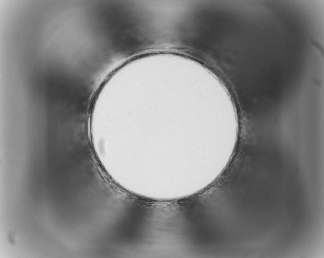 X0000103931320200810031250