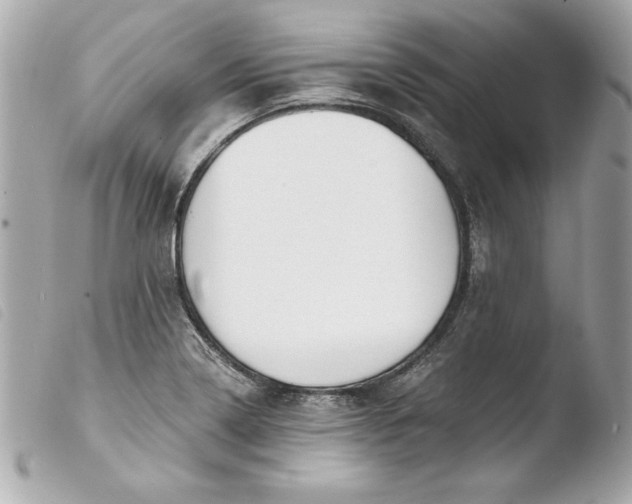 X0000103931322200810031250