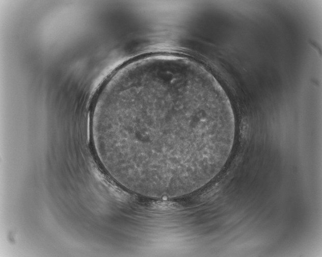 X0000103931323200810031250