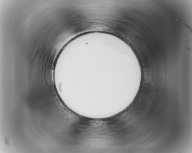 X0000103931324200810031250